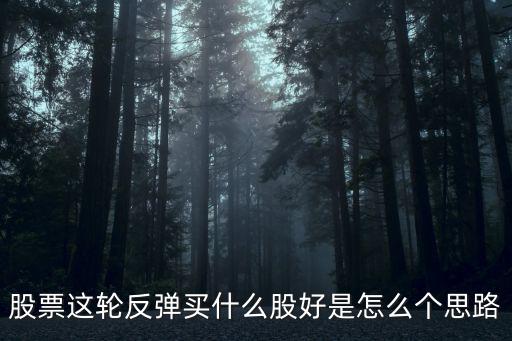 股票这轮反弹买什么股好是怎么个思路