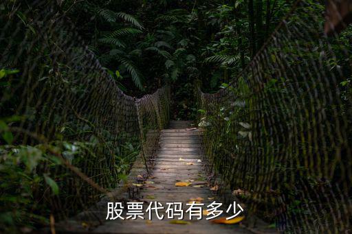 股票代码有多少