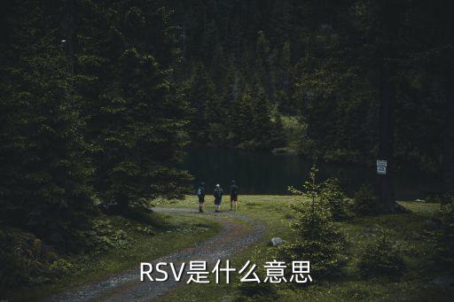 股票rsv什么意思，股票技术分析中的MACDKDJRSIBOLLOBVWRDMIASIMIKEVR