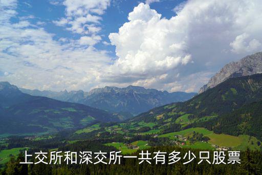 上交所和深交所一共有多少只股票