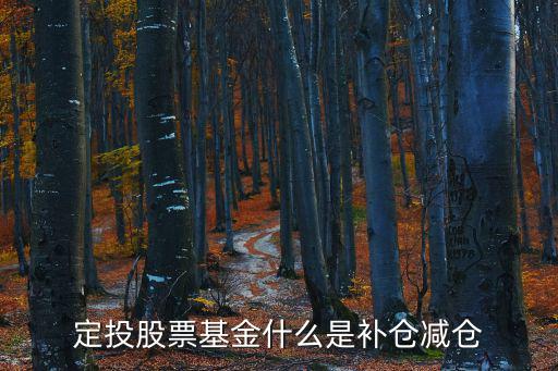 定投股票基金什么是补仓减仓