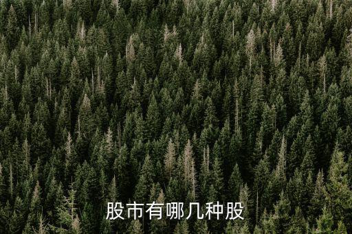 股市有哪几种股