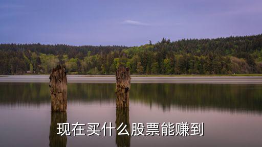 现在买什么股票能赚到