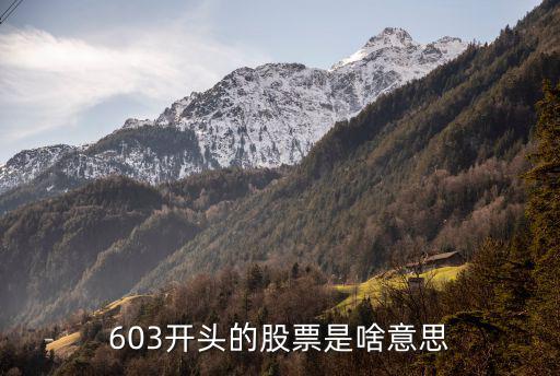 603开头的股票是啥意思