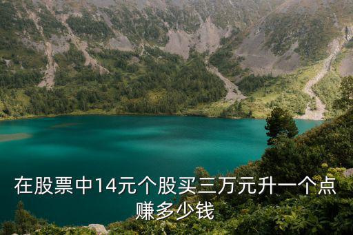 在股票中14元个股买三万元升一个点赚多少钱