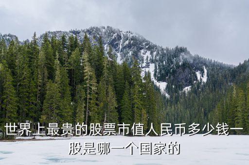 世界上最贵的股票市值人民币多少钱一股是哪一个国家的