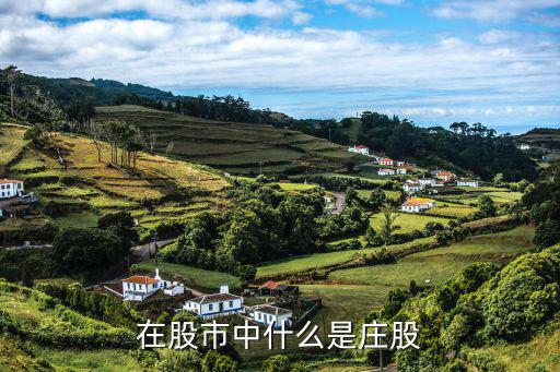 在股市中什么是庄股