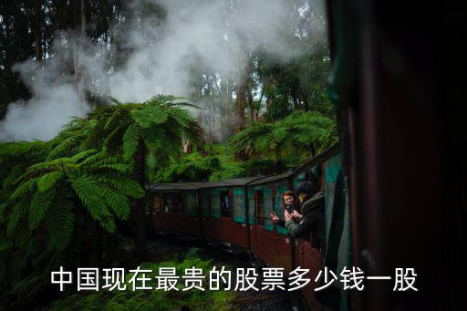 中国现在最贵的股票多少钱一股