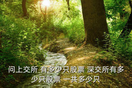 a股目前有多少只股票，现在的沪深a股一共有多少支股票