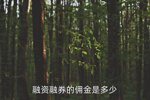 融资融券的佣金是多少