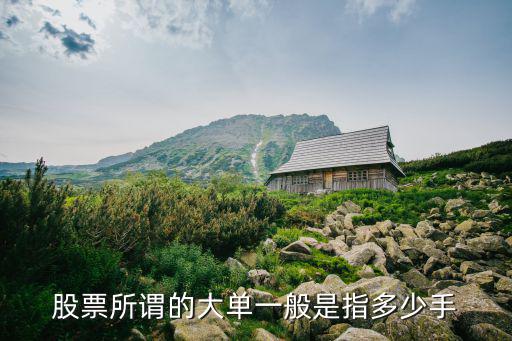 股票所谓的大单一般是指多少手
