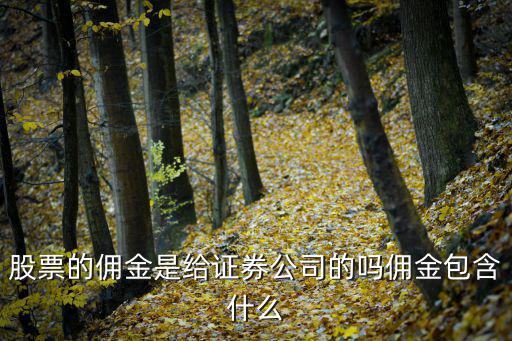 股票有什么佣金收入，股票交易佣金是多少