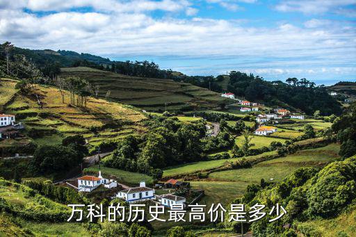 万科的历史最高价是多少