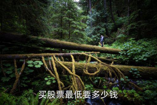买股票最低要多少钱
