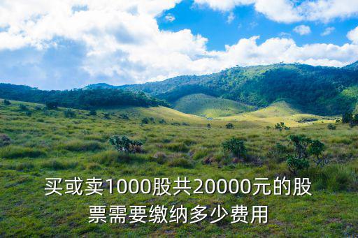 股票1000股是多少钱，股票1000元有多少块