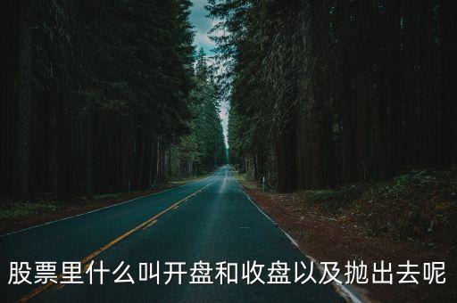 股票里什么叫开盘和收盘以及抛出去呢