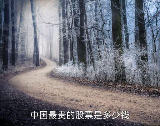 中国最贵的股票是多少钱