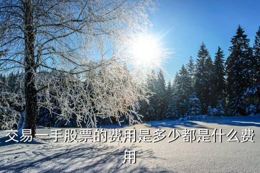 交易一手股票的费用是多少都是什么费用