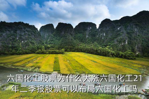 六国化工股票为什么大涨六国化工21年二季报股票可以布局六国化工吗