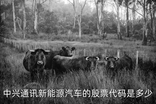中兴通讯新能源汽车的股票代码是多少