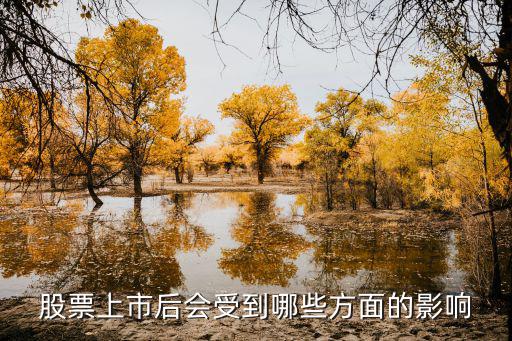 股票上市后会受到哪些方面的影响