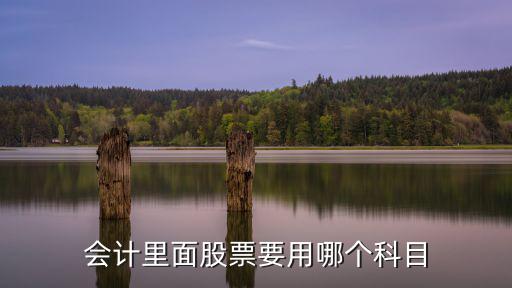 会计里面股票要用哪个科目