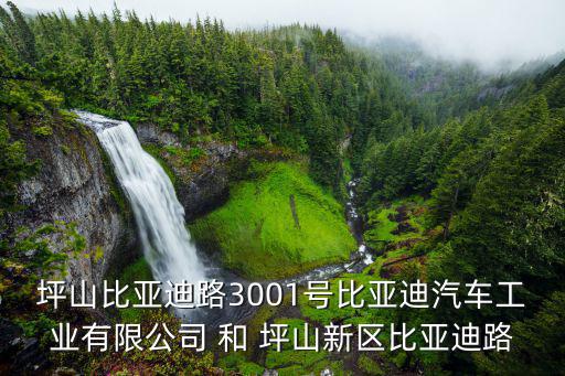 比亚迪股票账号是什么，比亚迪上市编号