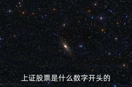 上证股票是什么数字开头的