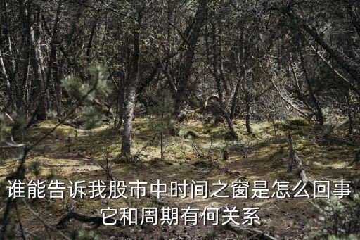 谁能告诉我股市中时间之窗是怎么回事它和周期有何关系