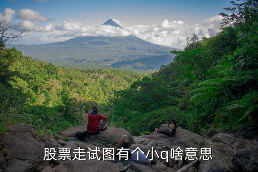 股票q是指什么，股票请问k线图上出现q是什么意思
