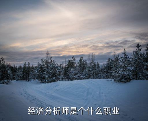 经济分析师是个什么职业