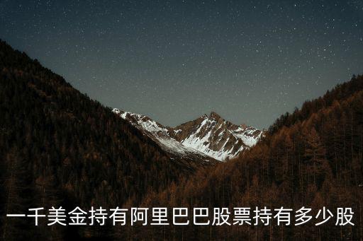 一千美金持有阿里巴巴股票持有多少股