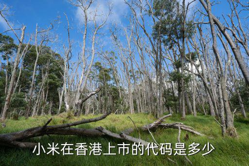 小米在香港上市的代码是多少