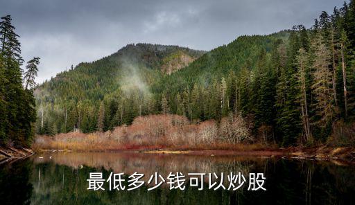 最低多少钱可以炒股