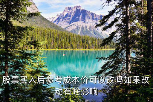 股票买入后参考成本价可以改吗如果改动有啥影响