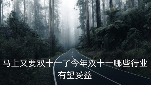 马上又要双十一了今年双十一哪些行业有望受益