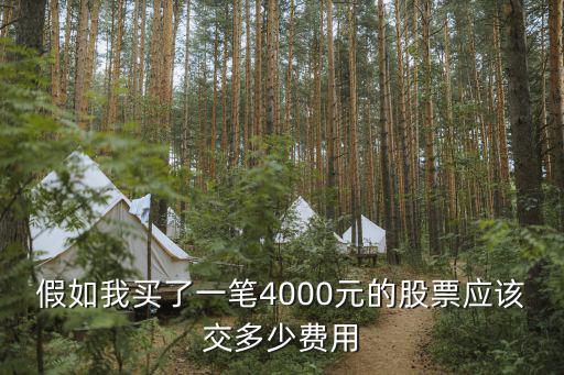 假如我买了一笔4000元的股票应该交多少费用