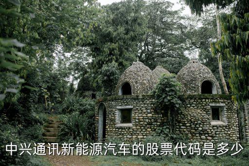 中兴股票代码是多少，中兴通讯新能源汽车的股票代码是多少