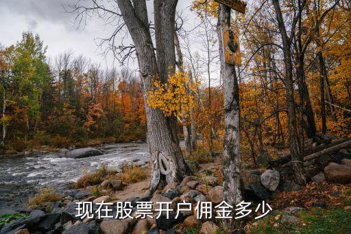 现在股票开户佣金多少