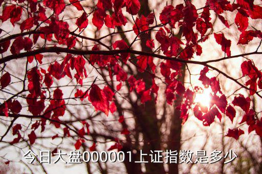 今日大盘000001上证指数是多少