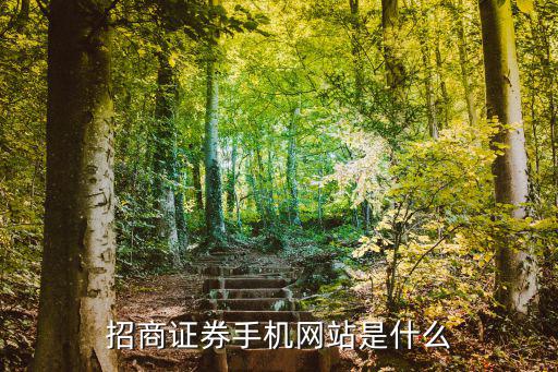 招商证券手机网站是什么
