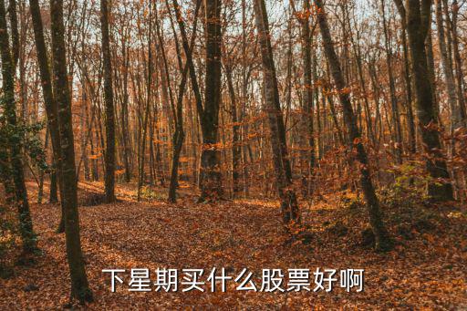 下周适合买什么股票，下周一买什么股票好