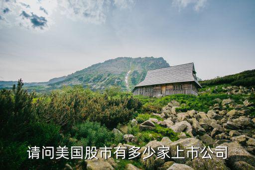 美国有多少股票，请问美国一共有多少只股票