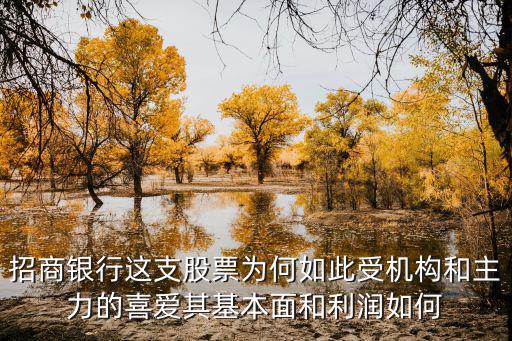 招商银行这支股票为何如此受机构和主力的喜爱其基本面和利润如何