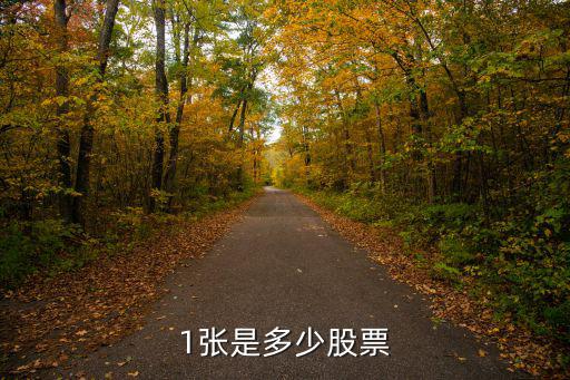 1张是多少股票