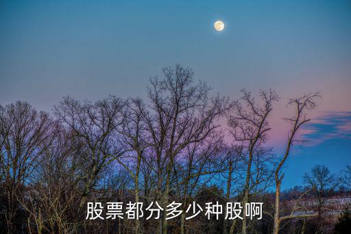 公司分股票一般是多少股，公司刚上市总股本一般是多少股