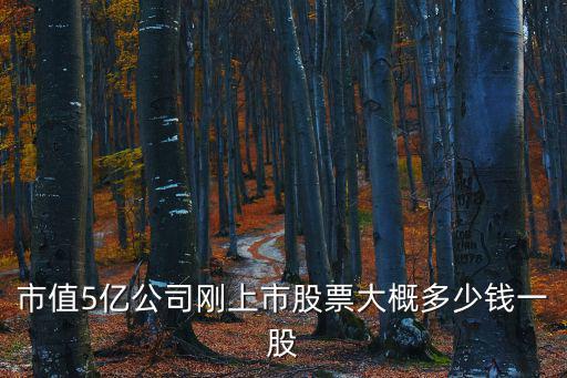 市值5亿公司刚上市股票大概多少钱一股
