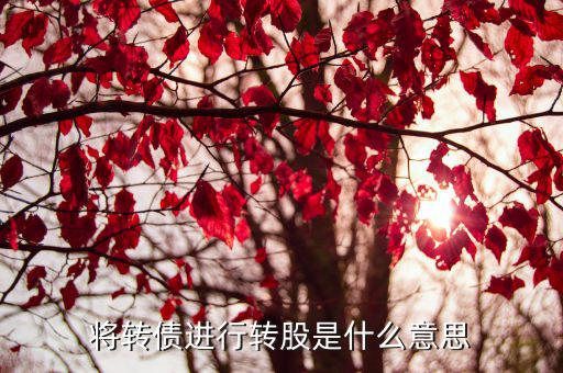 将转债进行转股是什么意思