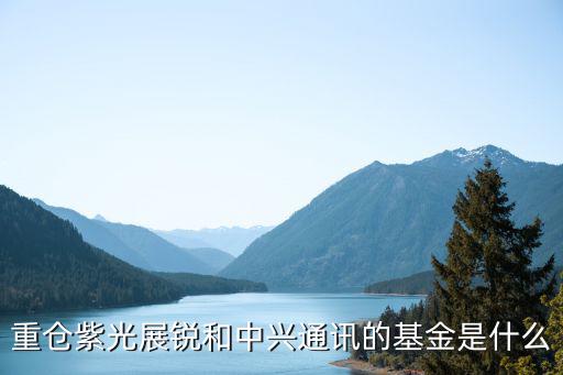 重仓紫光展锐和中兴通讯的基金是什么