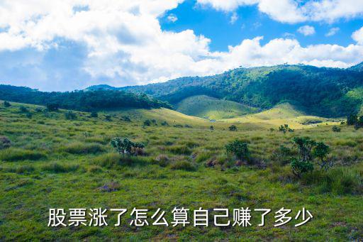 股票涨了怎么算自己赚了多少